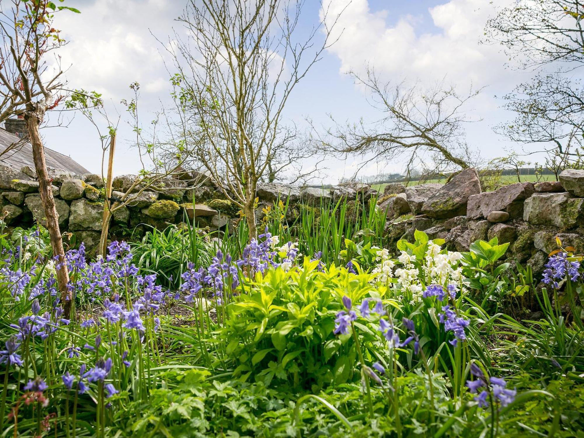 Teal Villa Llangennith Exteriör bild